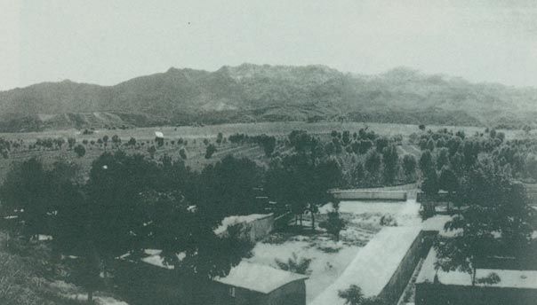 1949168ëٿйξֻ
